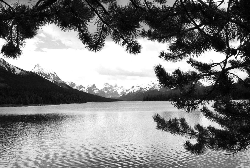 Photograph by Хвостов владимир Владимирович