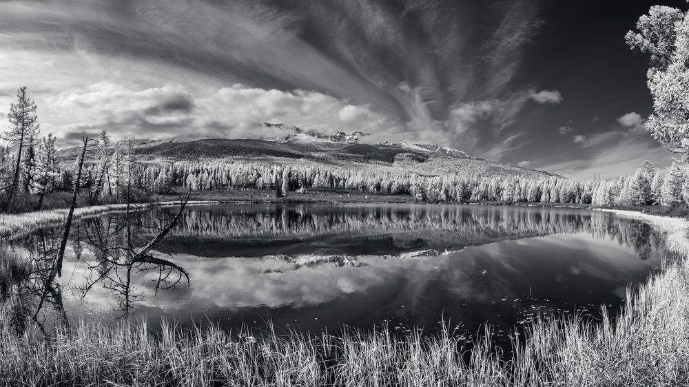 Photograph by Devender Mark