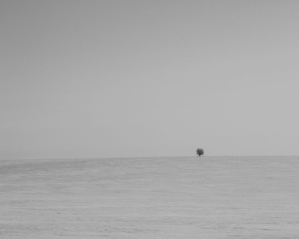 Photograph by Сергей Епифанов