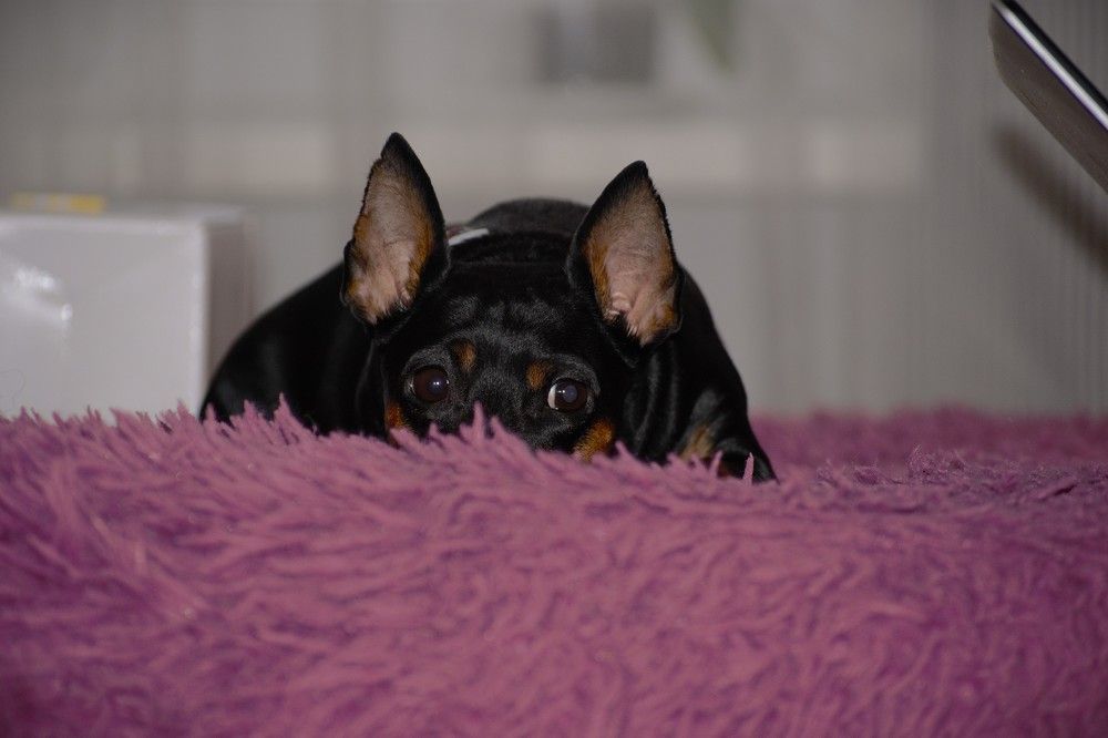 Photograph by Людмила Ваганова