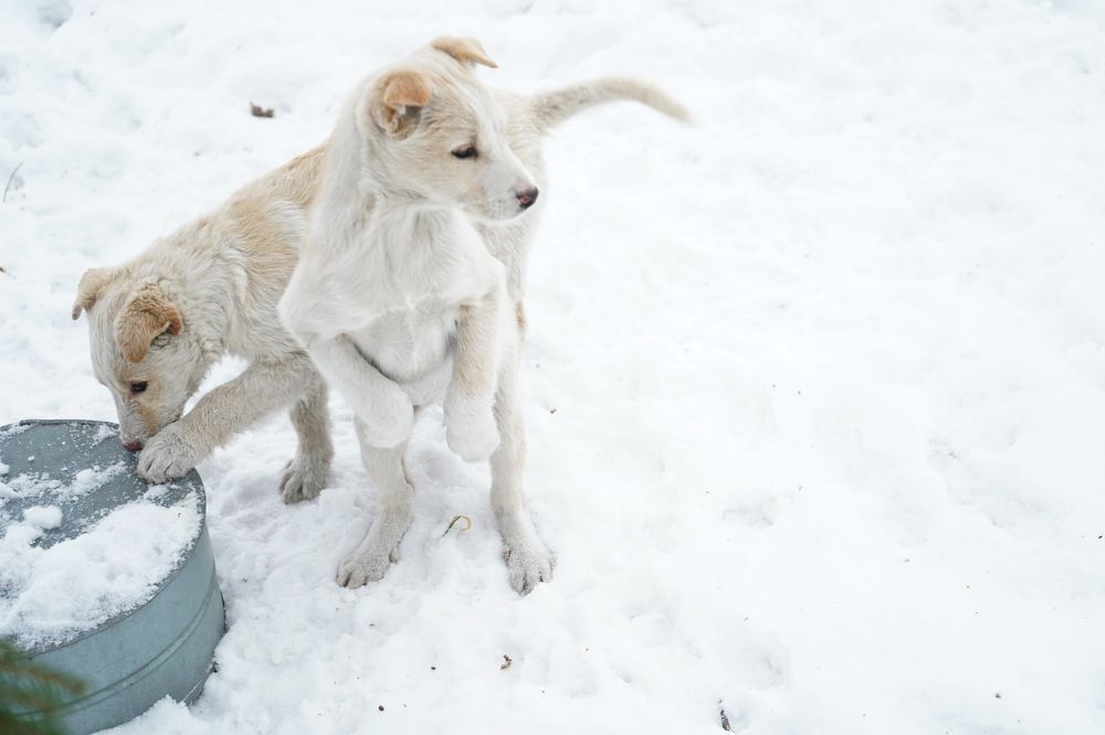 Photograph by Любовь Лунина