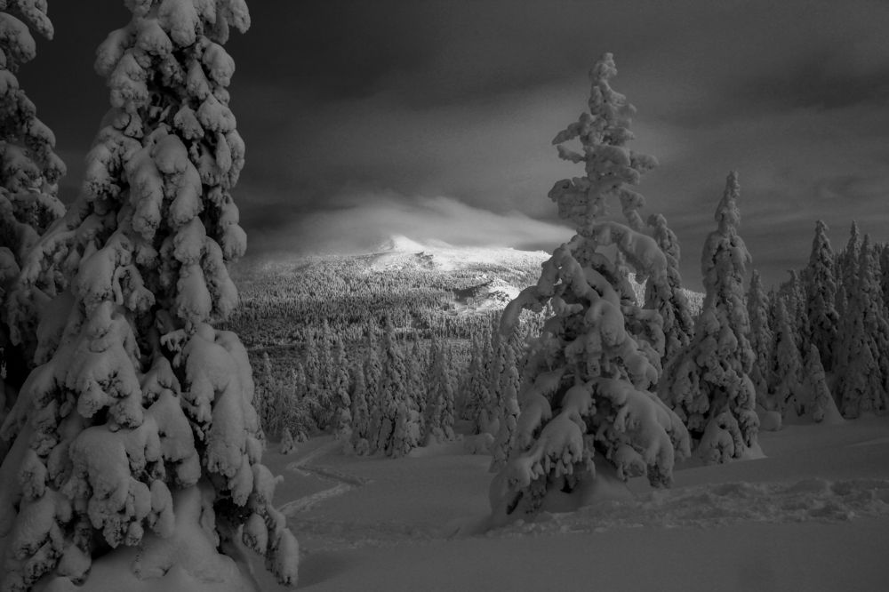 Photograph by Olga Mamadzanova