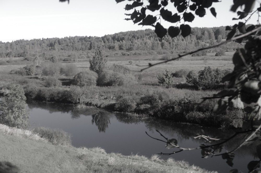 Photograph by Людмила Ваганова