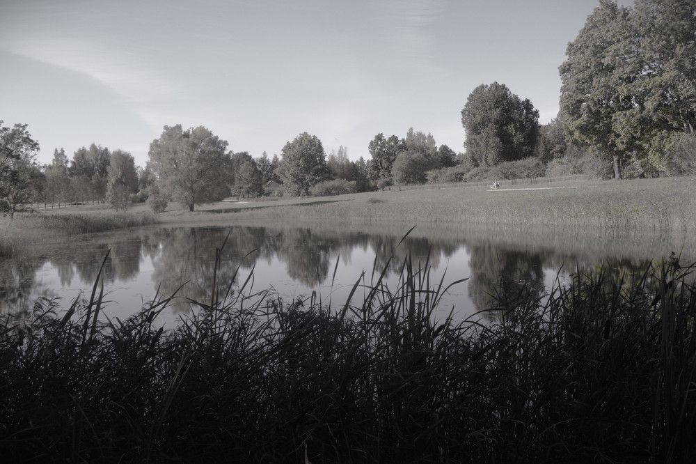 Photograph by Людмила Ваганова