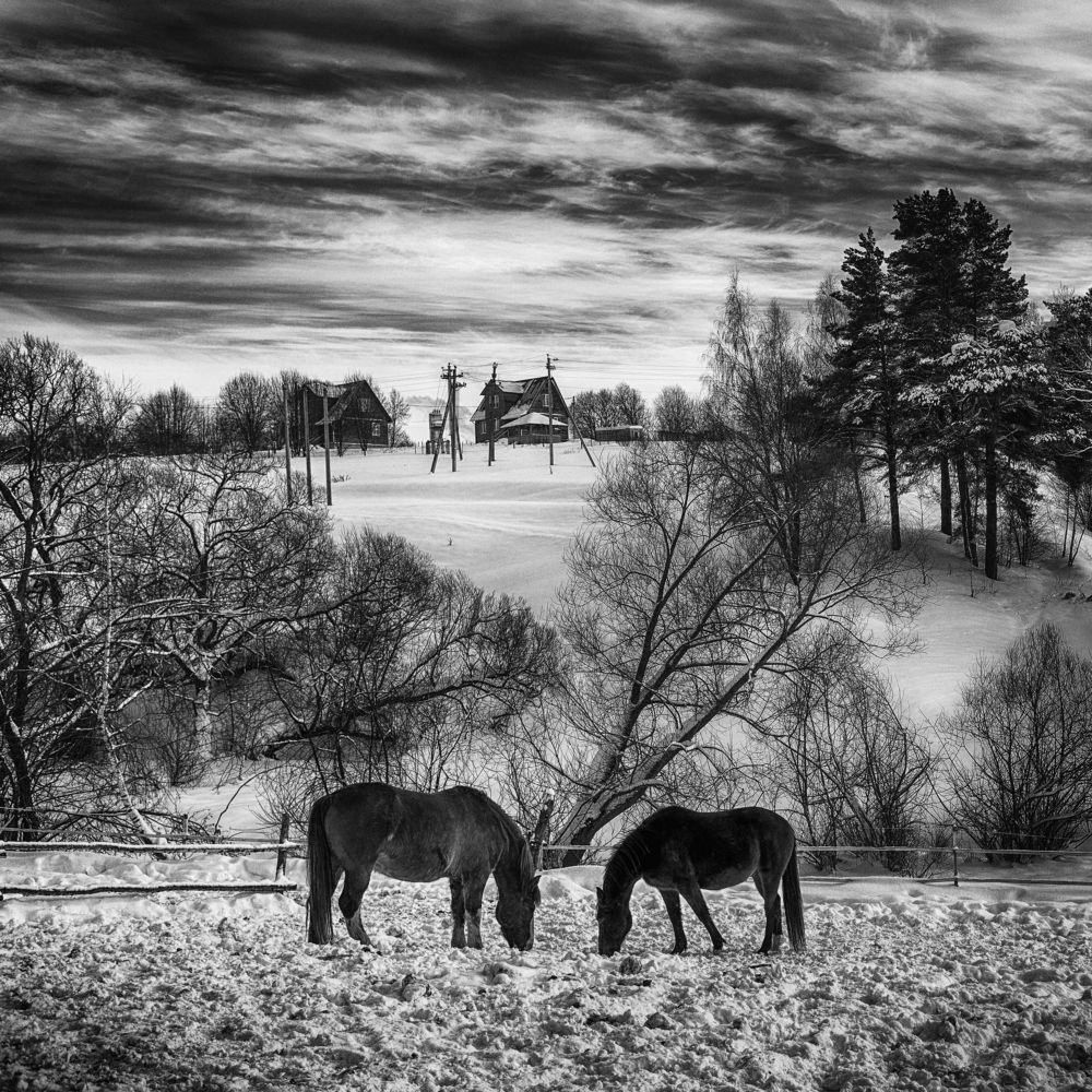 Photograph by Владимир Лосман