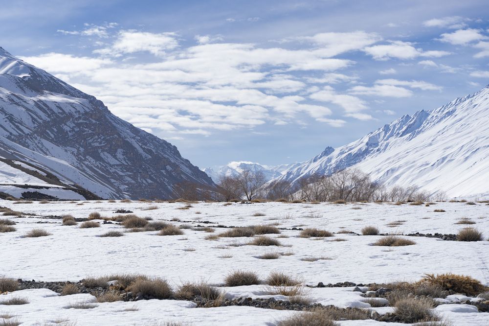 Photograph by Chirag P Chordia