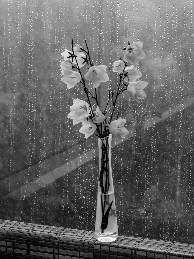 Без названия