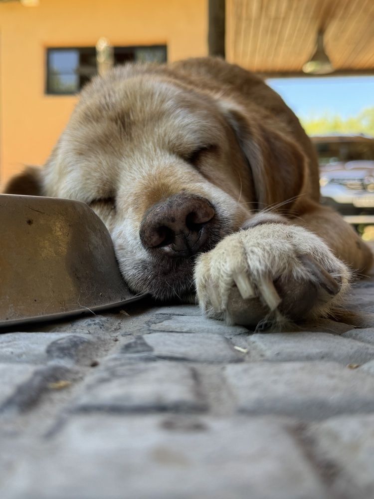 Photograph by Maria julieta ZURZOLO