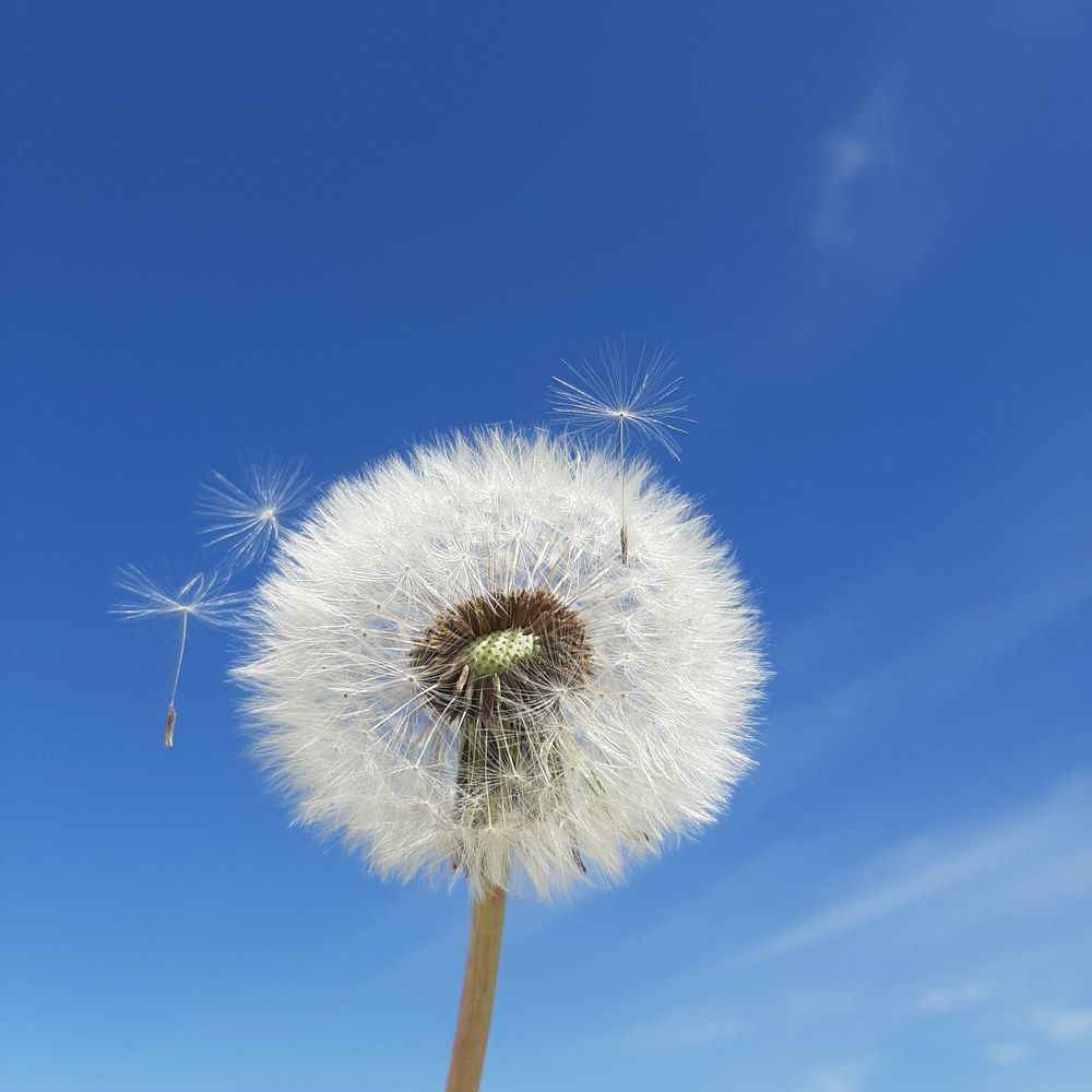 Photograph by Ольга