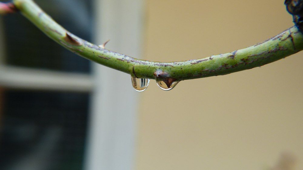 Photograph by Ольга