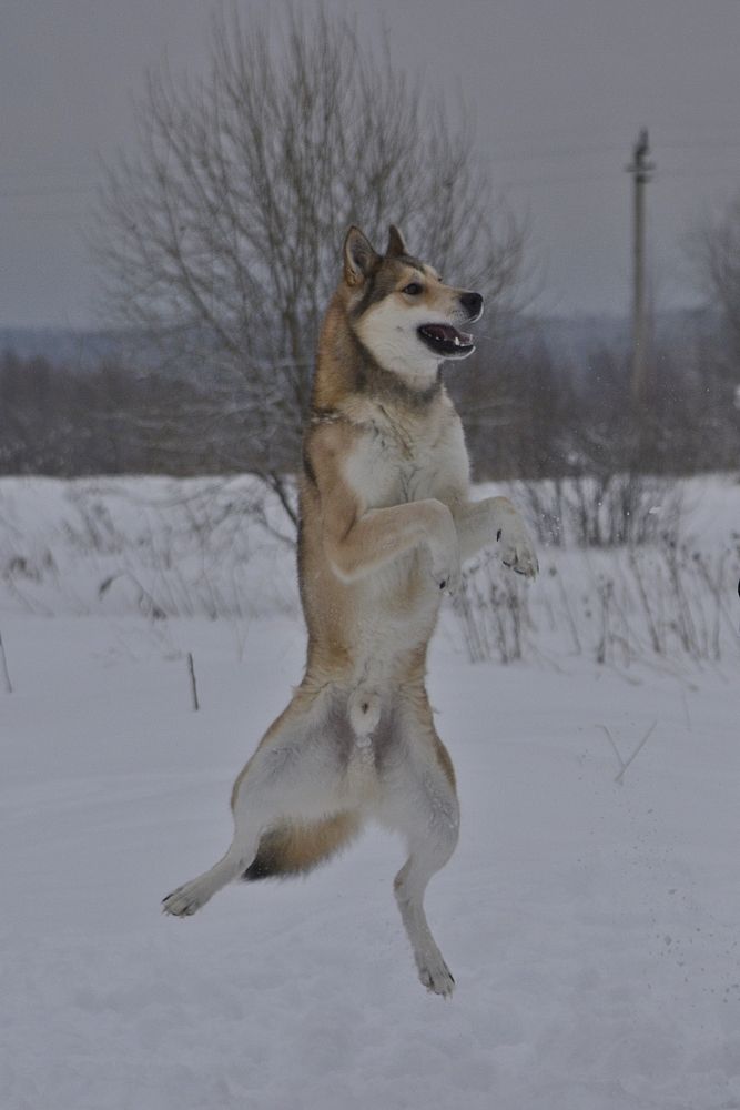 Photograph by Галина Катанова