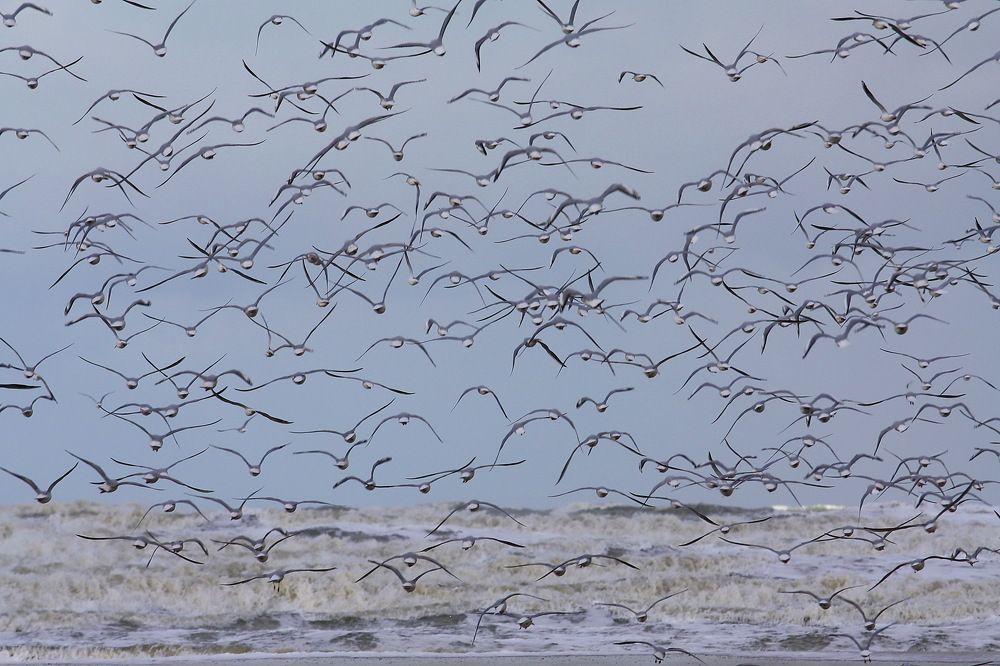 Photograph by Ольга