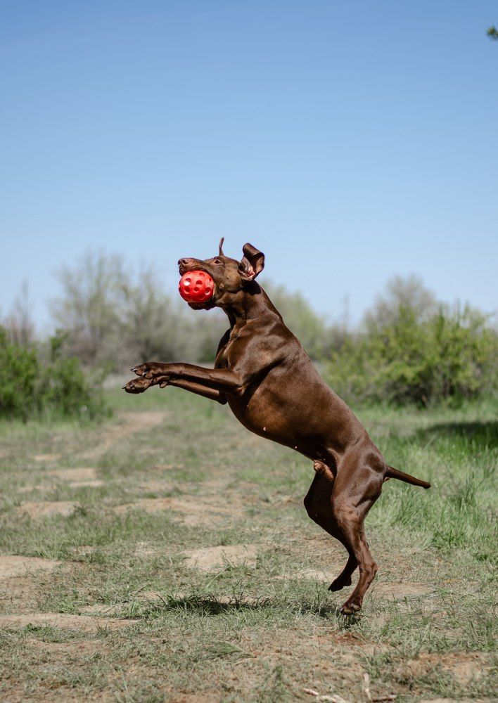 Фотография автора Елена Ефименко