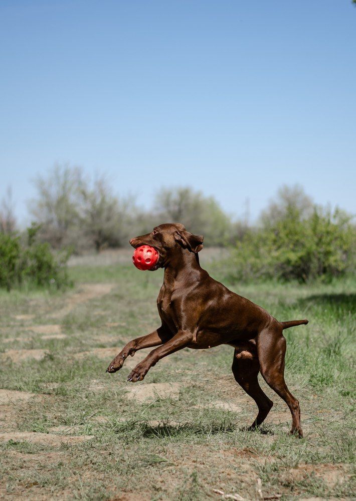 Фотография автора Елена Ефименко