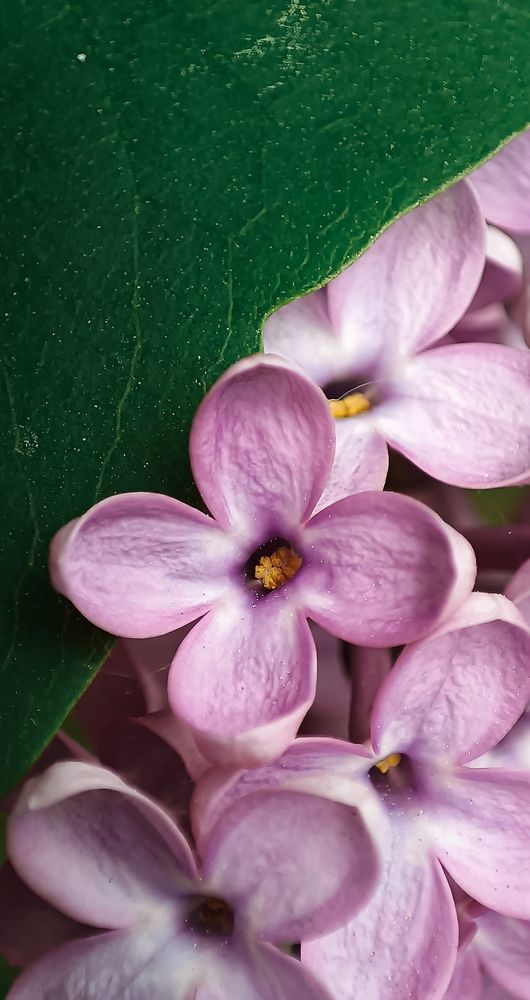 Photograph by Наташа Шибаева