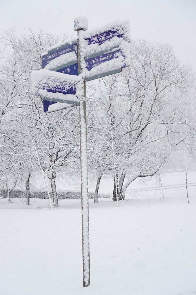 Photograph by Елена Никонова