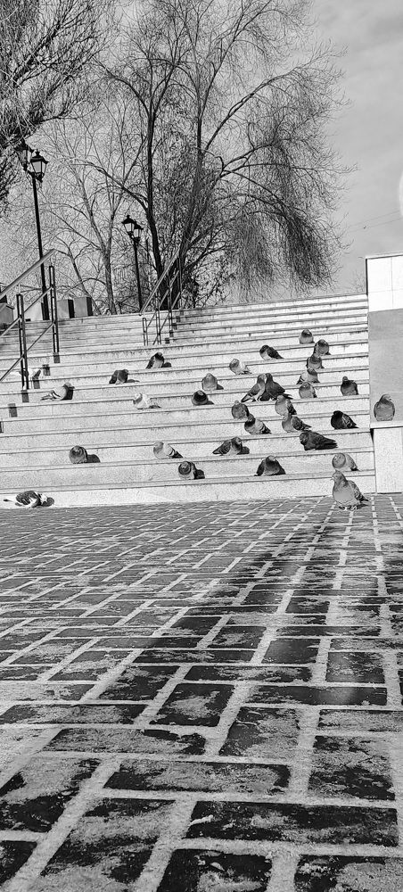 Photograph by Ирина Ахметова