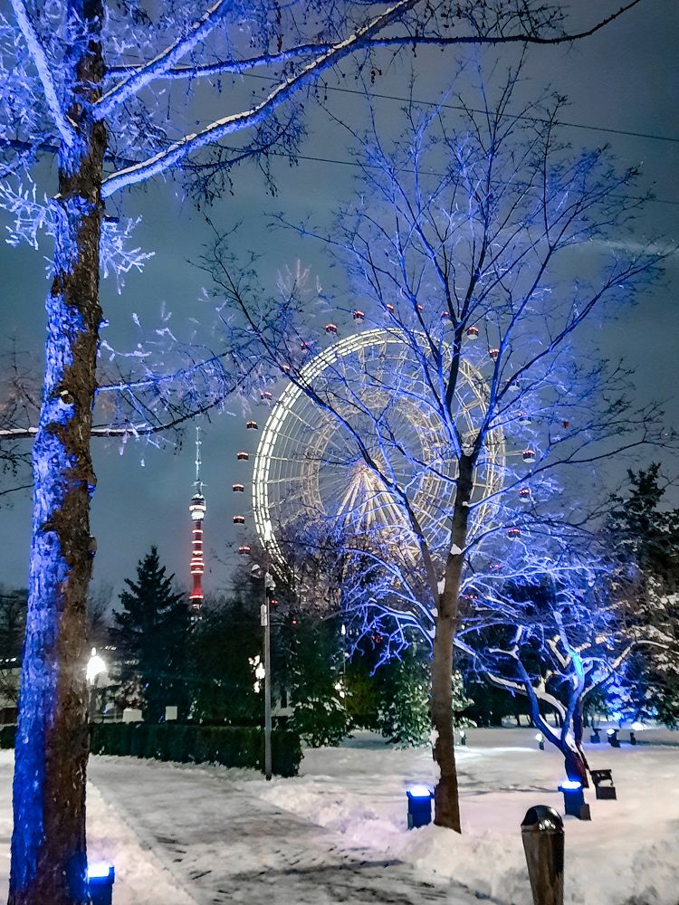 Фотография автора Irina Vornacheva