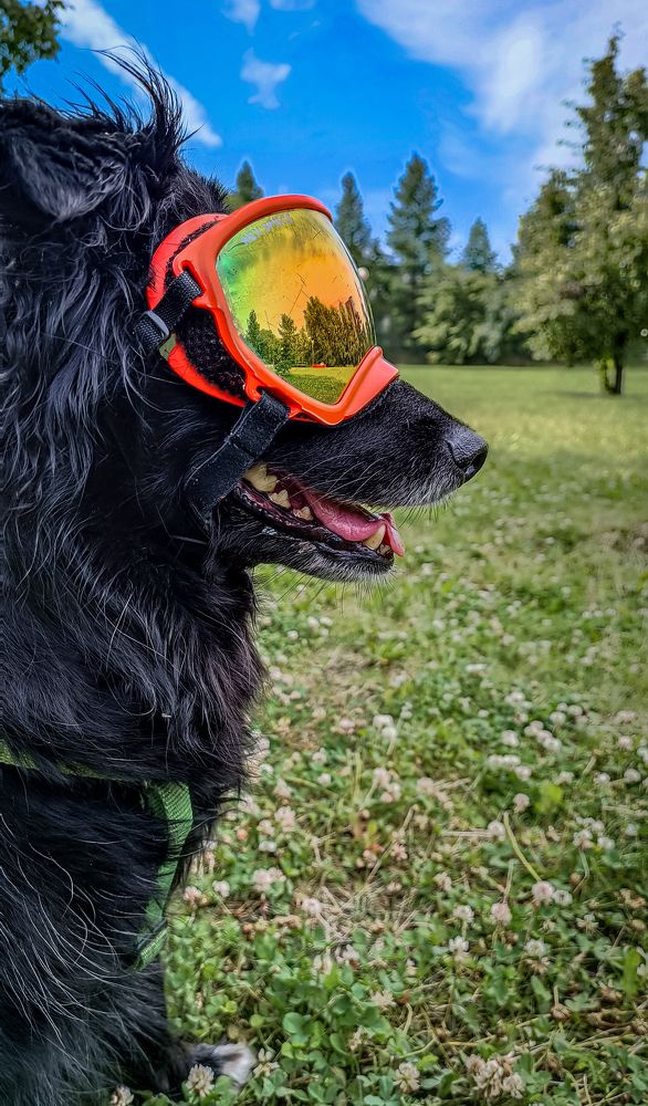 Photograph by Наташа Шибаева