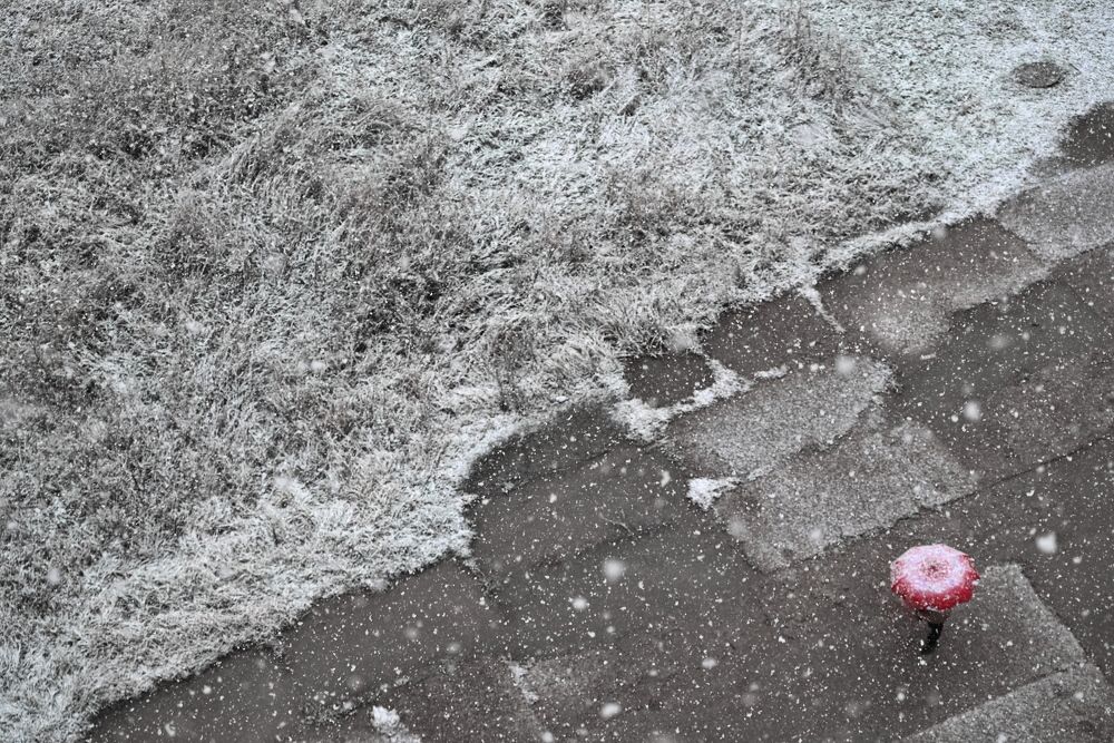 Photograph by Екатерина Степанова