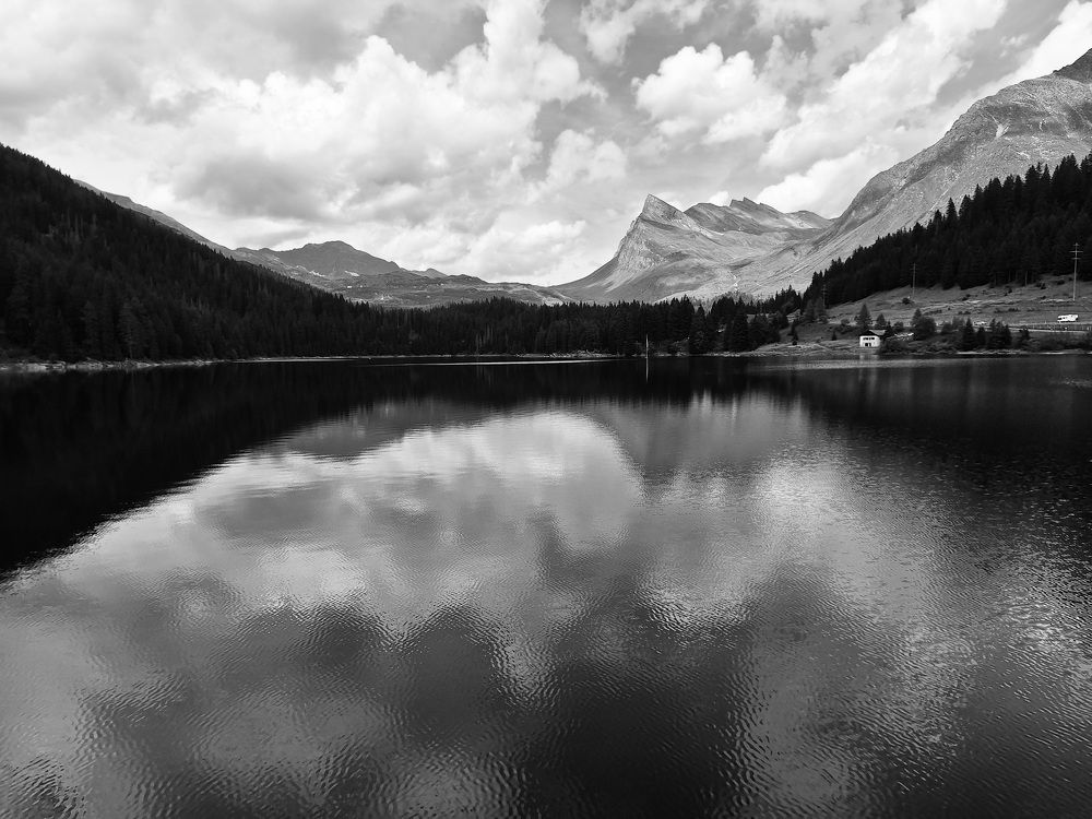 Photograph by Sonia Crotta