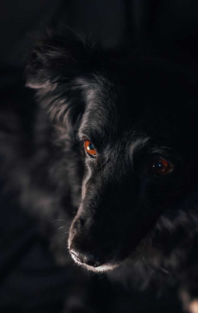 Photograph by Наташа Шибаева