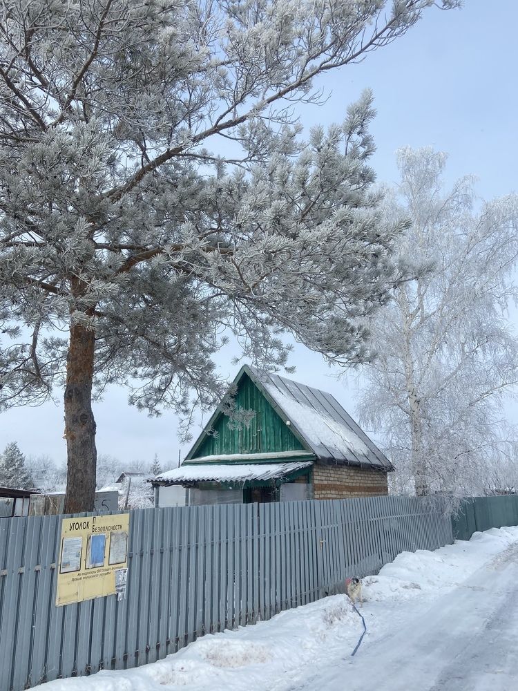 Photograph by Наталья Душакова