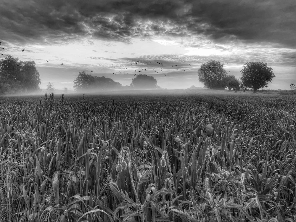 Photograph by Swetlana Lebedev