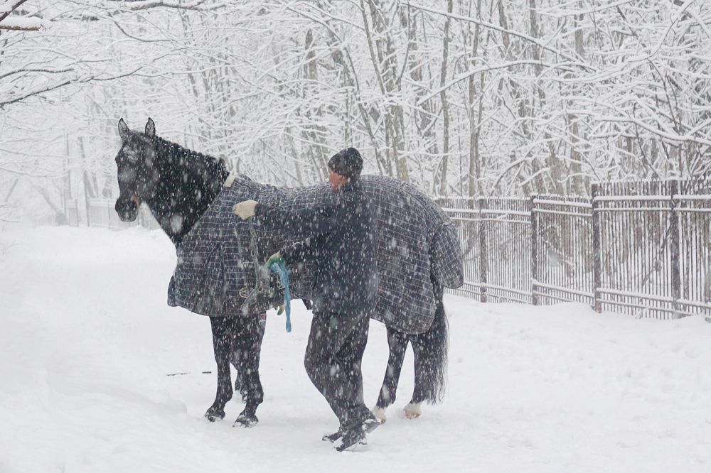 Photograph by Елена Никонова