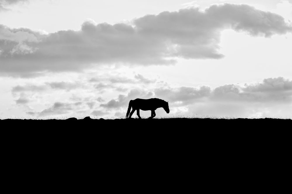 Photograph by Antea Miloloza