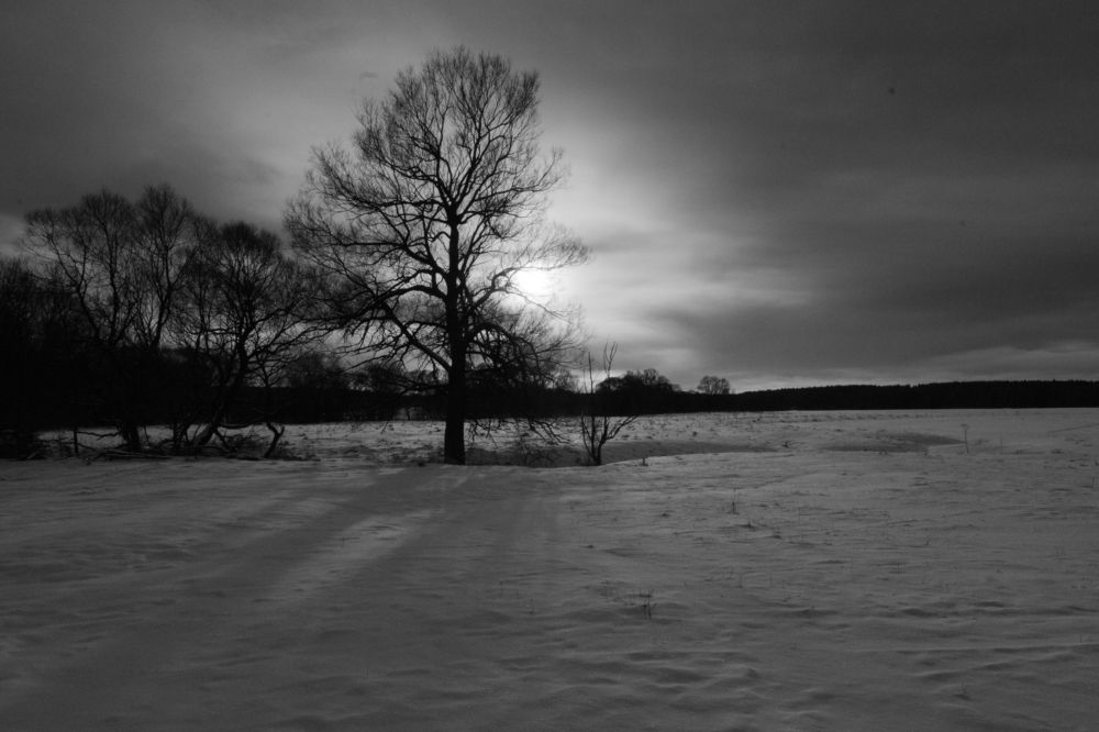 Фотография автора Александр