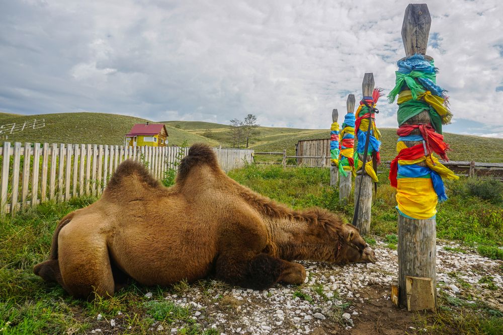 Photograph by Елена Никонова