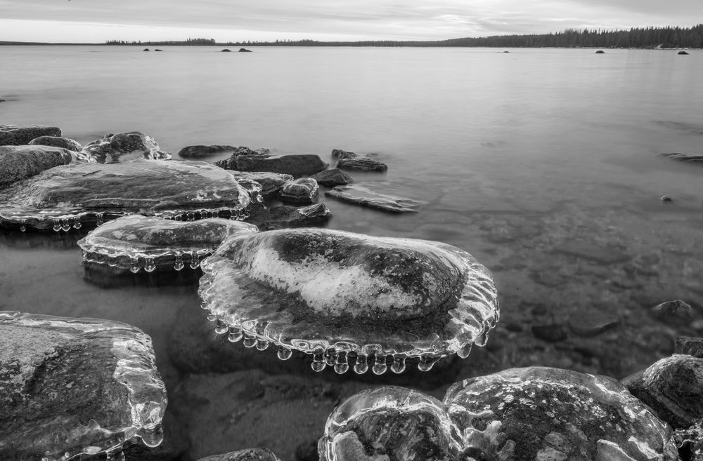 Photograph by Татьяна Решетникова