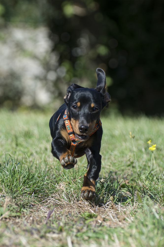 Photograph by Camilla Zocchi