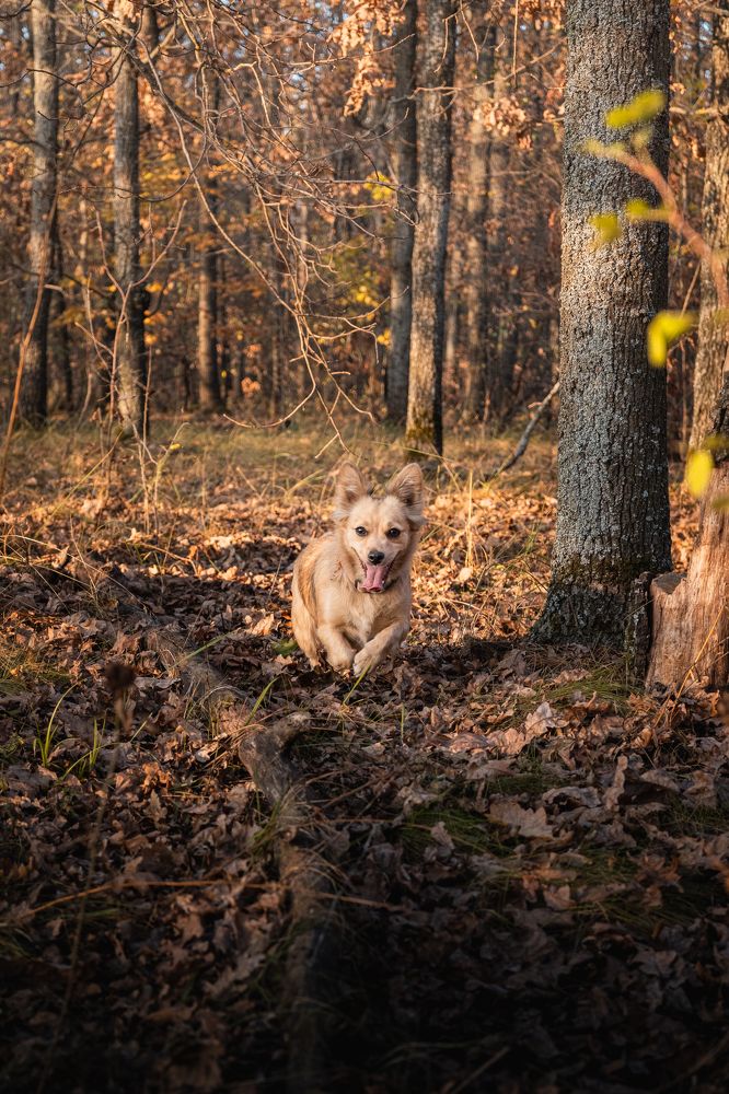 Photograph by Alexey Sapozhnikov