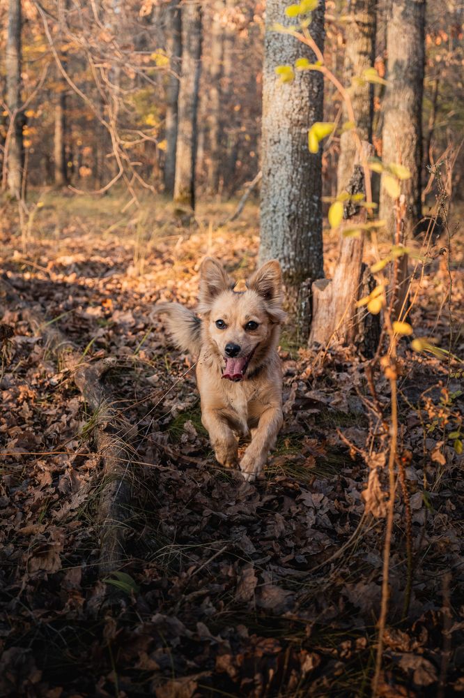 Photograph by Alexey Sapozhnikov