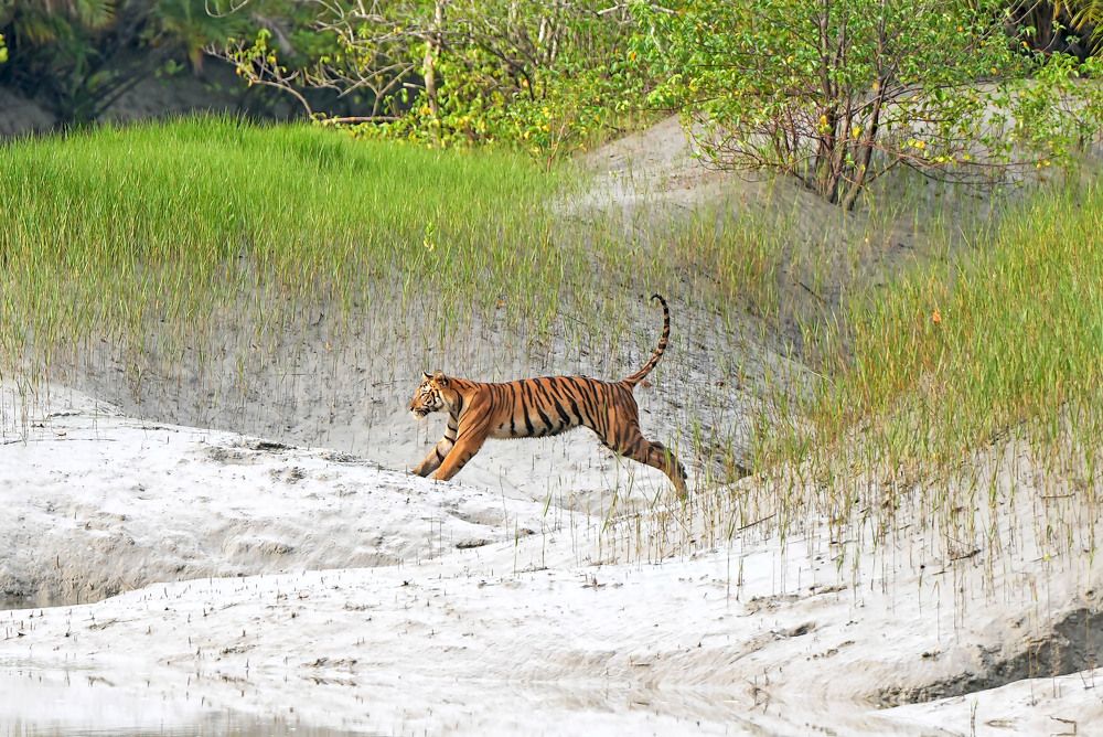 Photograph by Nirmalya Chakraborty