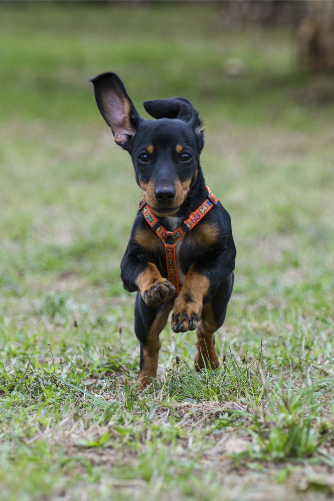 Photograph by Camilla Zocchi