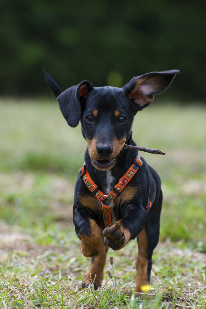 Photograph by Camilla Zocchi