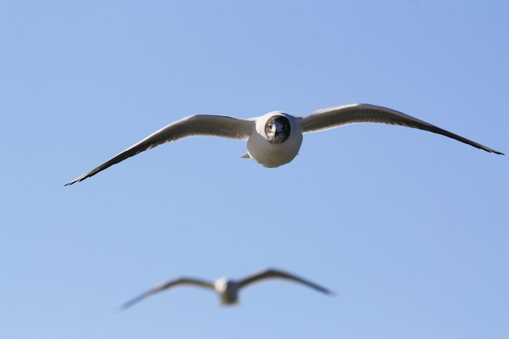 Photograph by Ольга