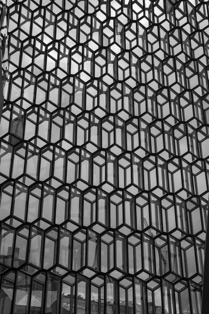 Фотография автора Ирина Зайцева