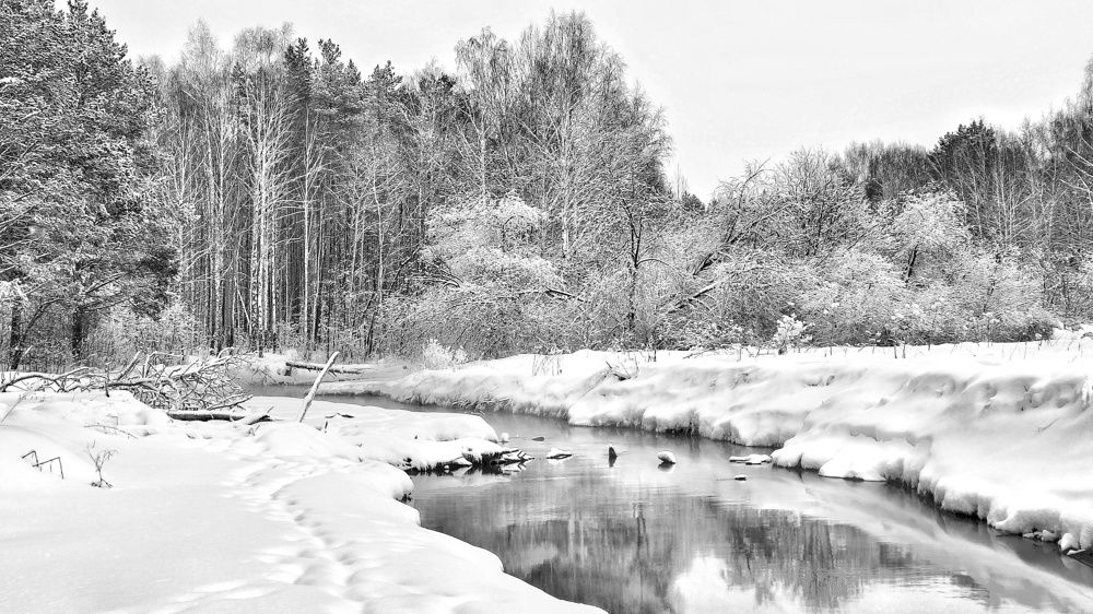 Photograph by Anastasia Malyukova