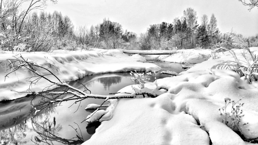 Photograph by Anastasia Malyukova