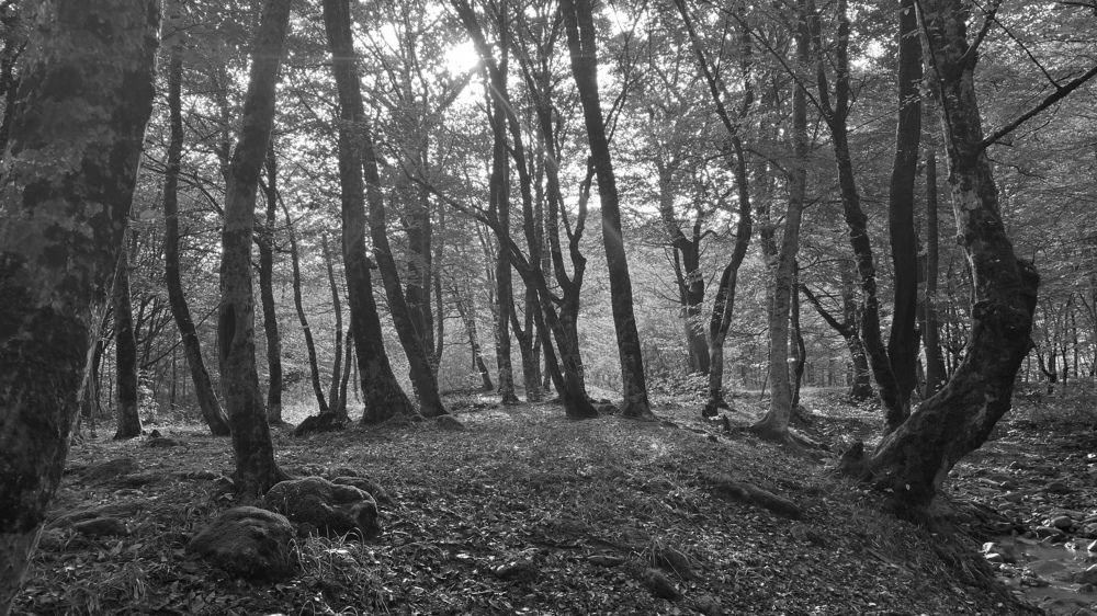 Photograph by Сергей Смирнов