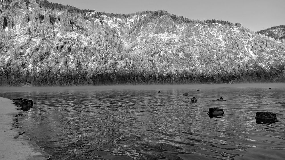 Photograph by Сергей Копылов