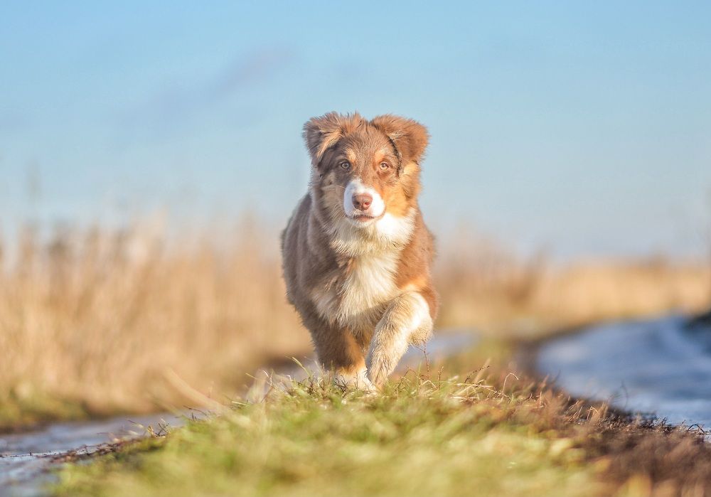 Фотография автора Мария Климова
