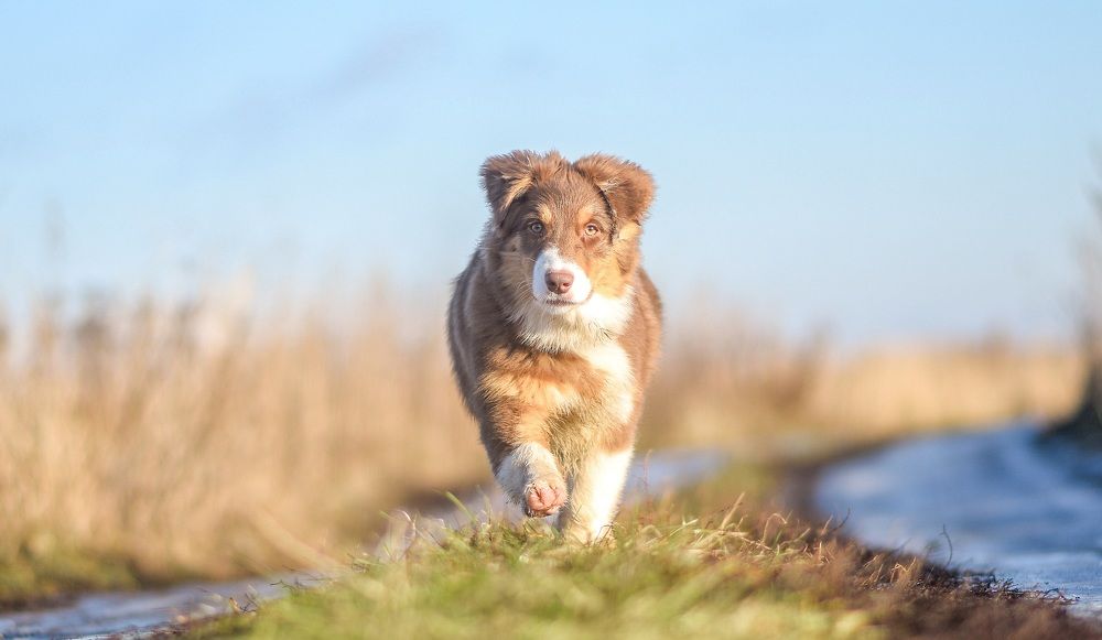 Фотография автора Мария Климова