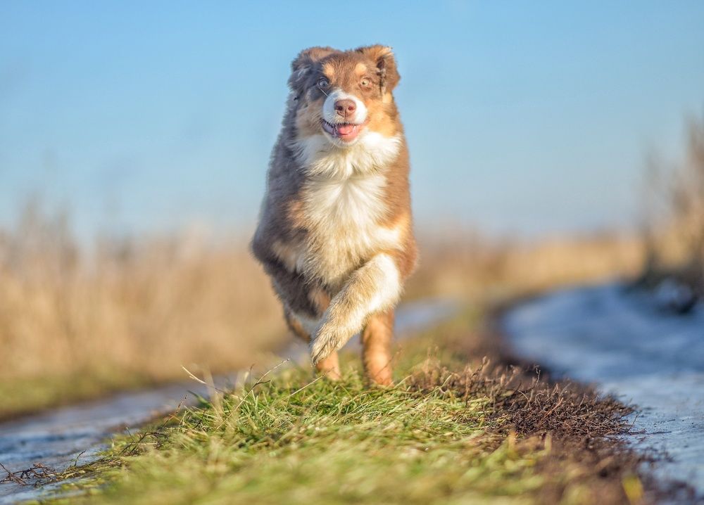 Фотография автора Мария Климова