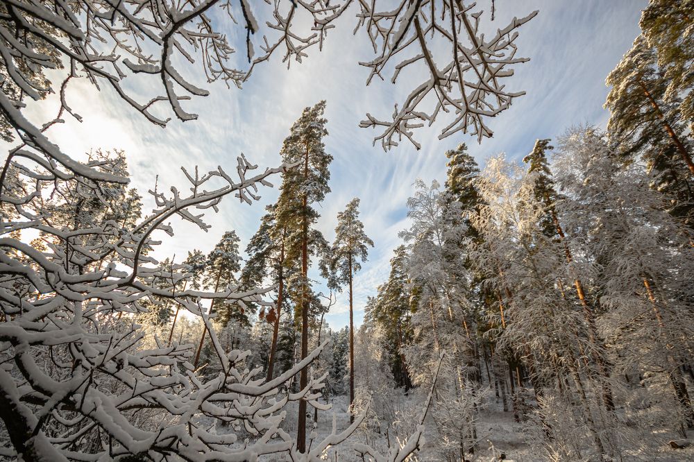 Photograph by Павел Васенин