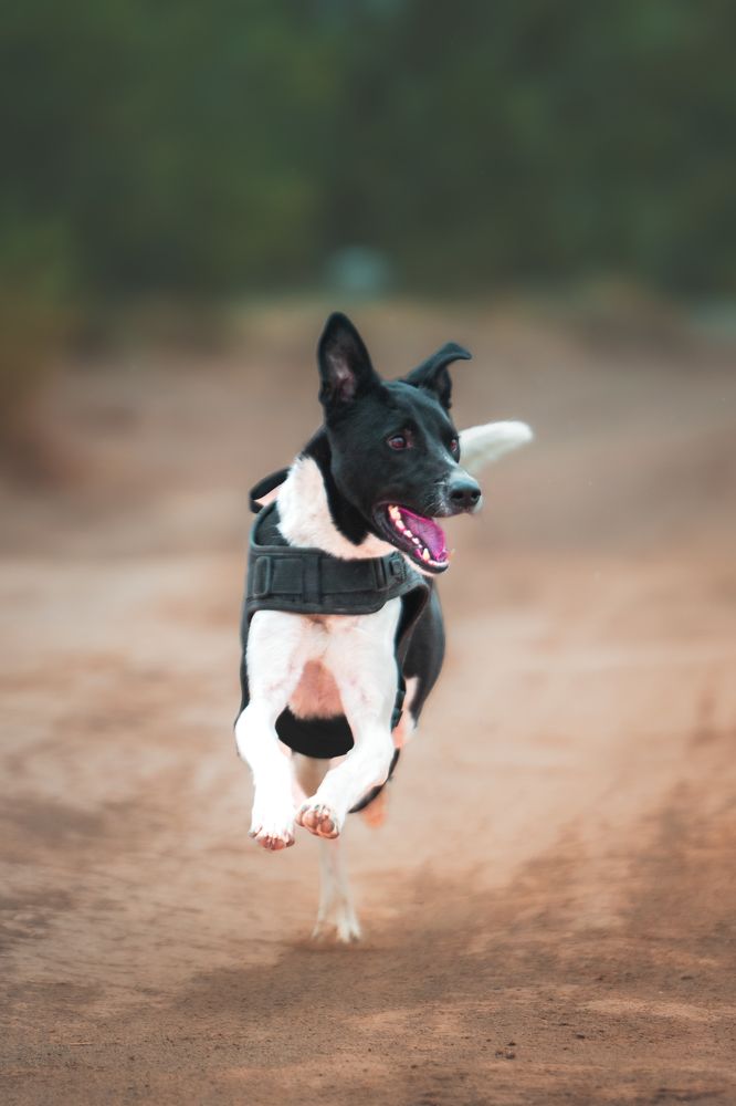 Photograph by ho3in afroozeh